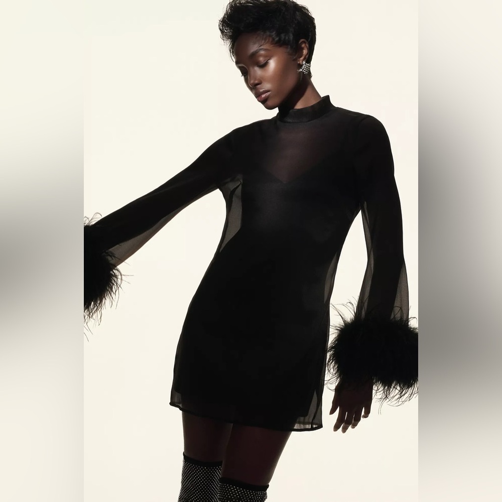 Anthropologie Hutch Long-Sleeve Turtleneck Faux-Feather Trim Sheer Mini Dress XS - Picture 7 of 12